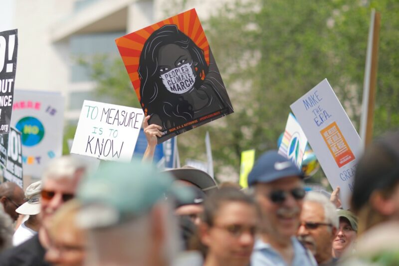 Greenland Protest Hat: Statement-kasketter med Formål og Mission